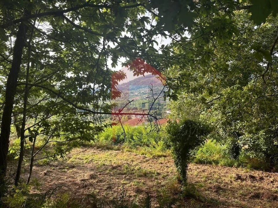 Quinta T0 para Venda em Ribeira do Neiva Foto 12