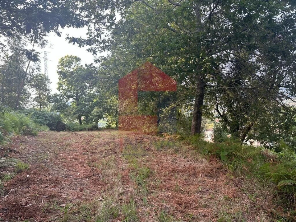 Quinta T0 para Venda em Ribeira do Neiva Foto 5