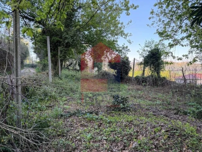 Moradia T2 para Venda em Vade Foto 13