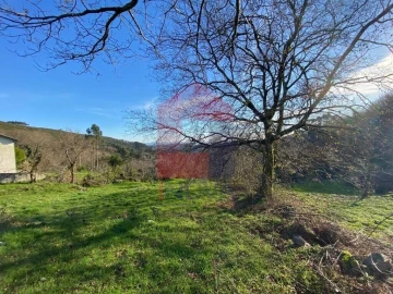 Terreno para Venda em Ribeira do Neiva