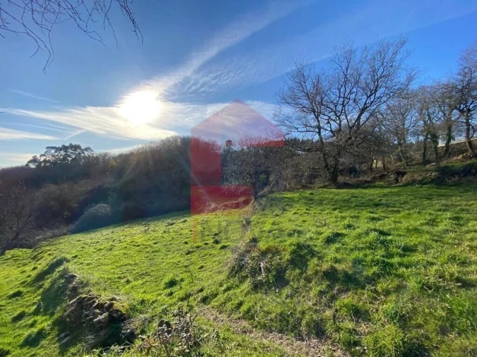 Terreno para Venda em Ribeira do Neiva Foto 15