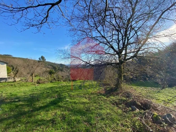 Terreno para Venda em Ribeira do Neiva Foto 12