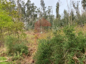 Terreno para Venda em Vade