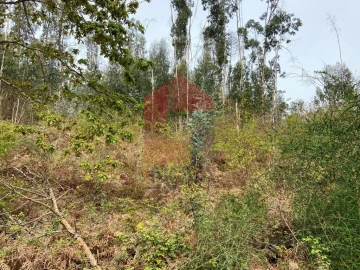 Terreno para Venda em Vade