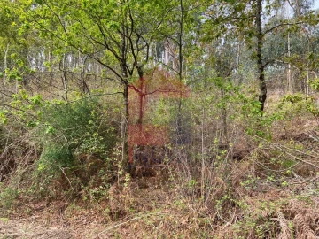 Terreno para Venda em Vade