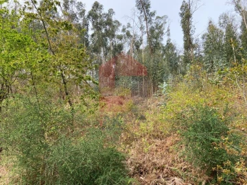 Terreno para Venda em Vade