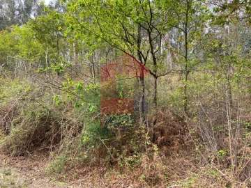 Terreno para Venda em Vade