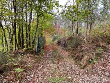 Terreno para Venda em Vade