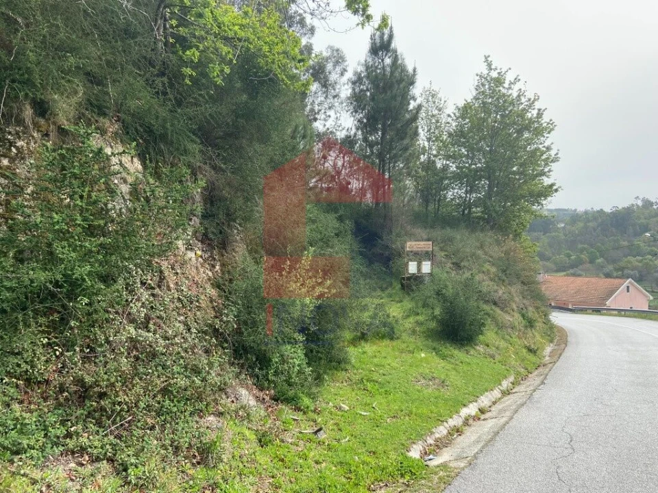 Terreno para Venda em Vade Foto 21