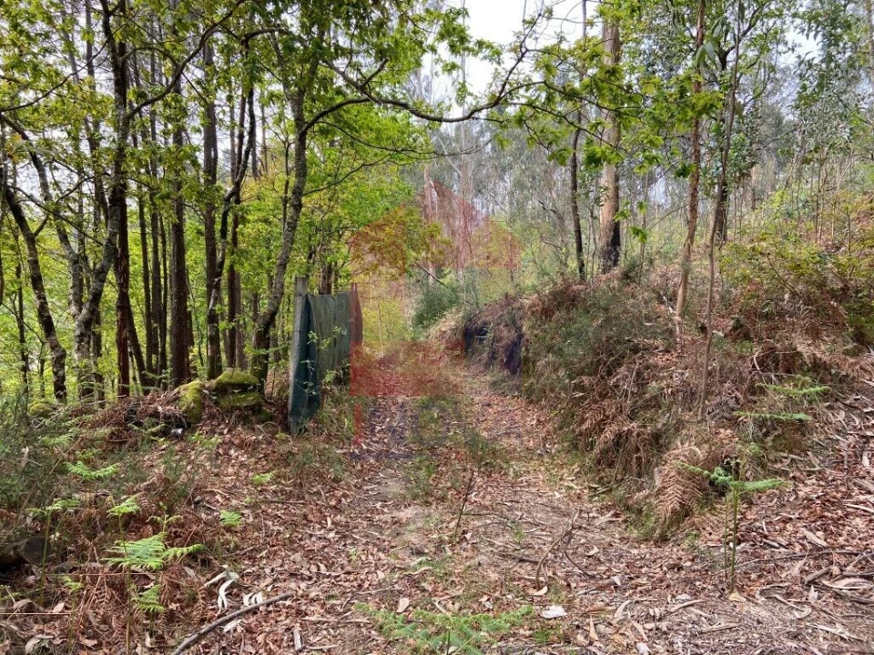 Terreno para Venda em Vade Foto 1