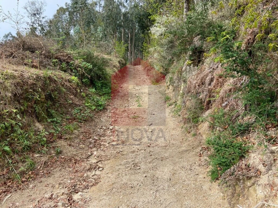 Terreno para Venda em Vade Foto 15