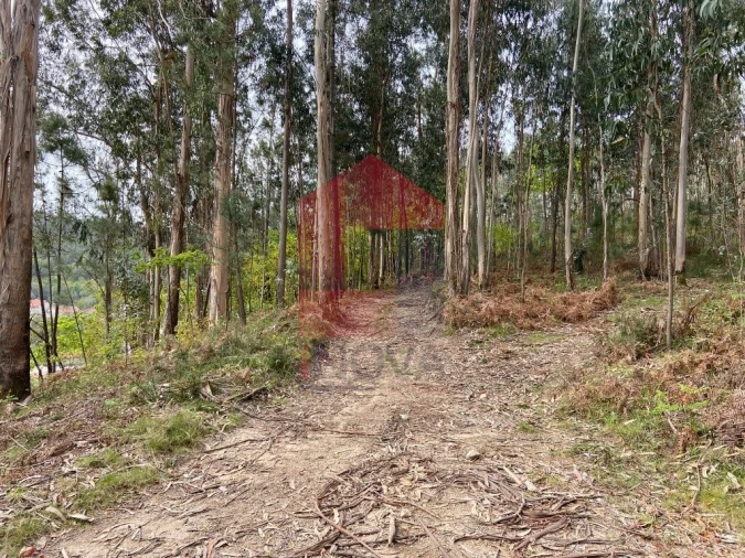 Terreno para Venda em Vade Foto 14