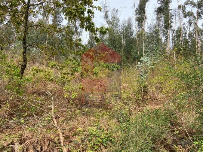 Terreno para Venda em Vade Foto 11