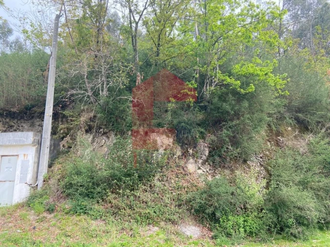 Terreno para Venda em Vade Foto 20