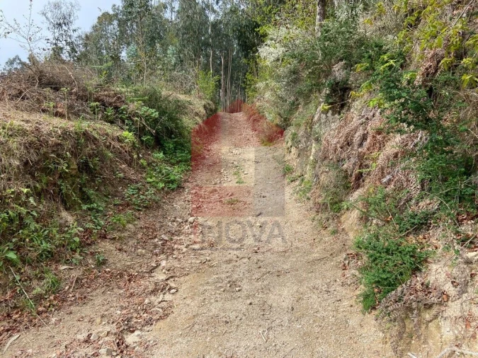 Terreno para Venda em Vade Foto 15