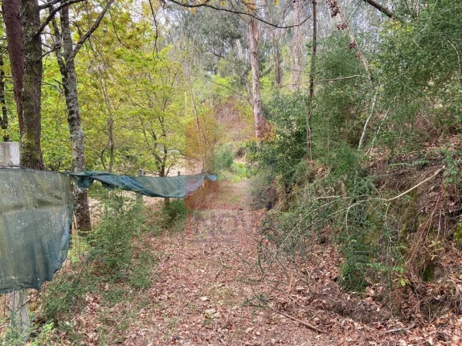 Terreno para Venda em Vade Foto 2