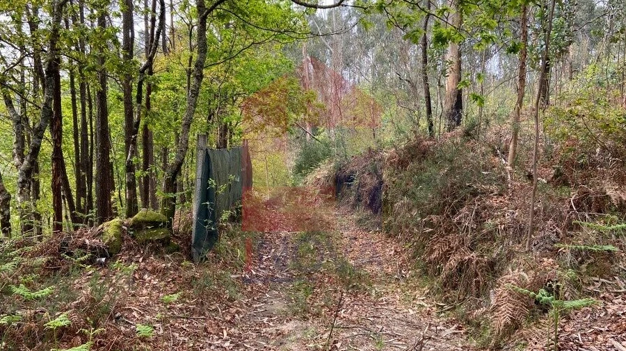 Terreno para Venda em Vade