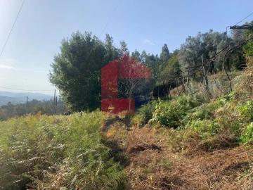 Terreno para Venda em Ribeira do Neiva