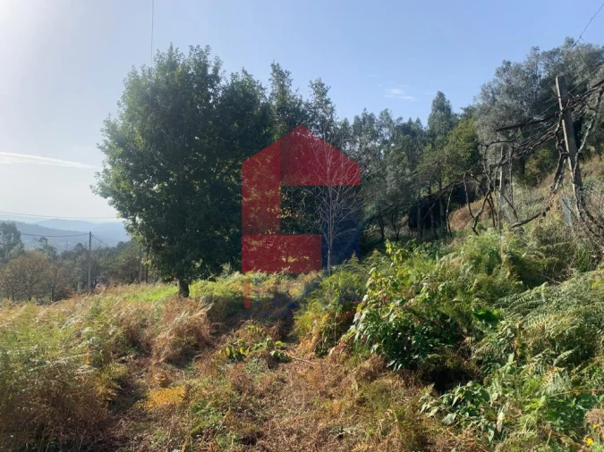 Terreno para Venda em Ribeira do Neiva Foto 7