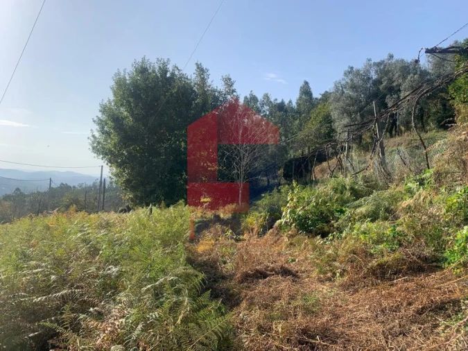 Terreno para Venda em Ribeira do Neiva Foto 5