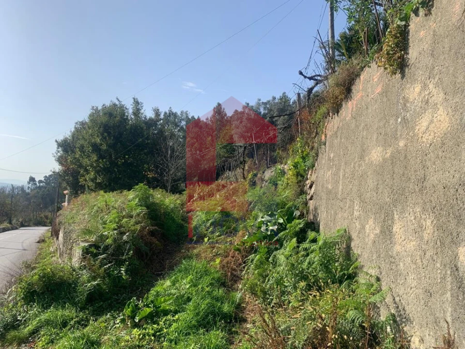 Terreno para Venda em Ribeira do Neiva Foto 9