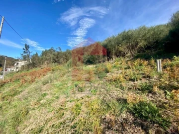 Terreno para Venda em Ribeira do Neiva