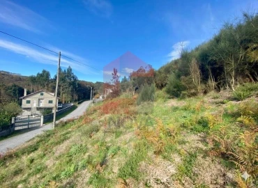 Terreno para Venda em Ribeira do Neiva