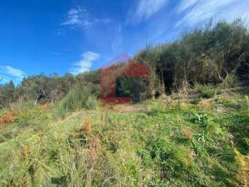 Terreno para Venda em Ribeira do Neiva