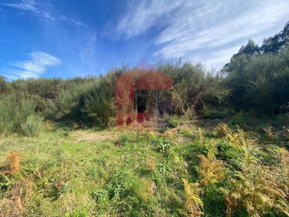 Terreno para Venda em Ribeira do Neiva Foto 9