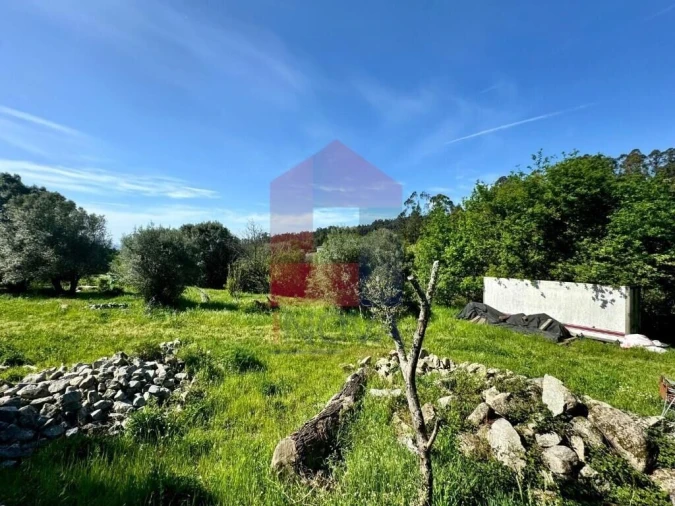 Terreno para Venda em Vade Foto 16