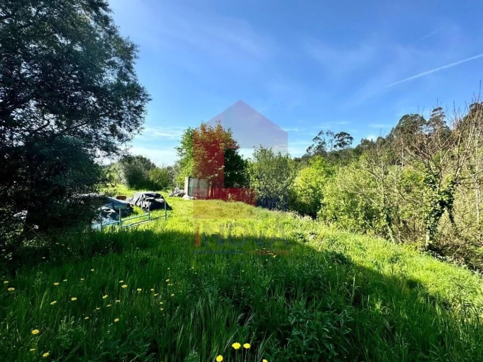 Terreno para Venda em Vade Foto 4