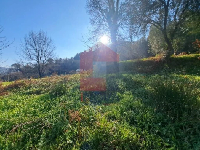 Terreno para Venda em Vade Foto 4