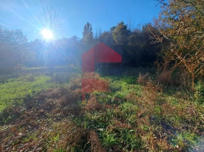 Terreno para Venda em Vade Foto 15