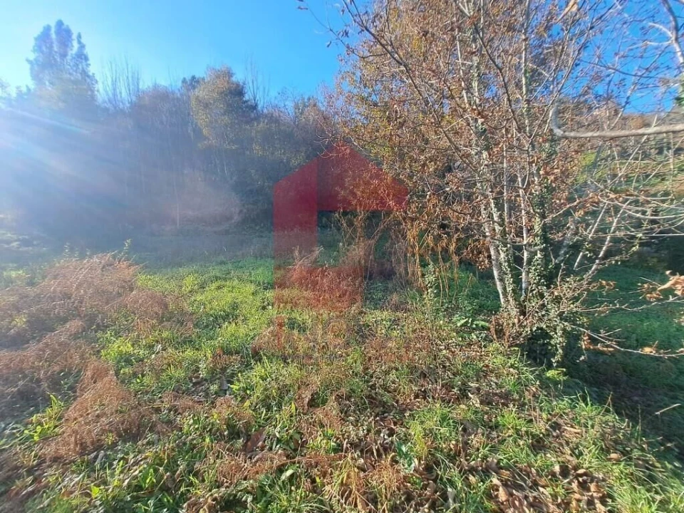 Terreno para Venda em Vade Foto 11