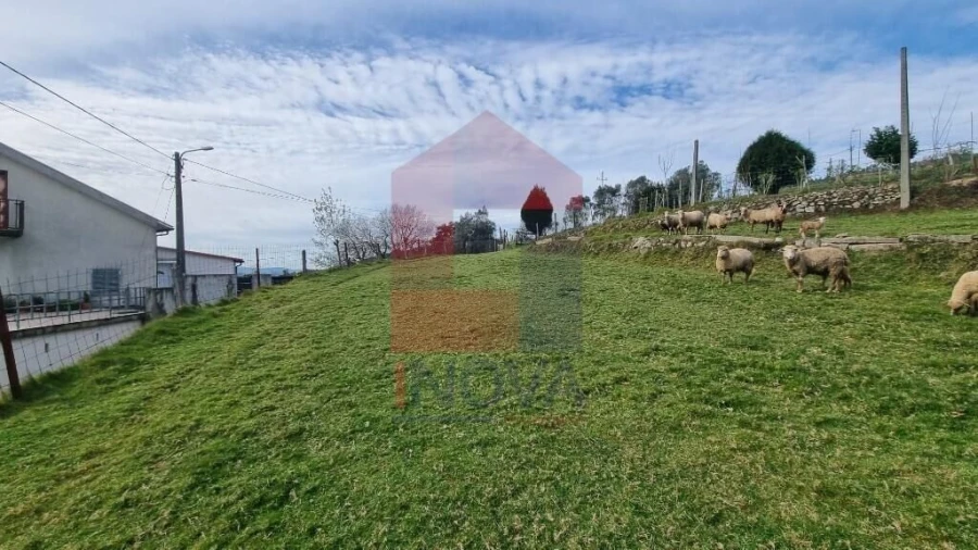 Terreno para Venda em Ribeira do Neiva Foto 6