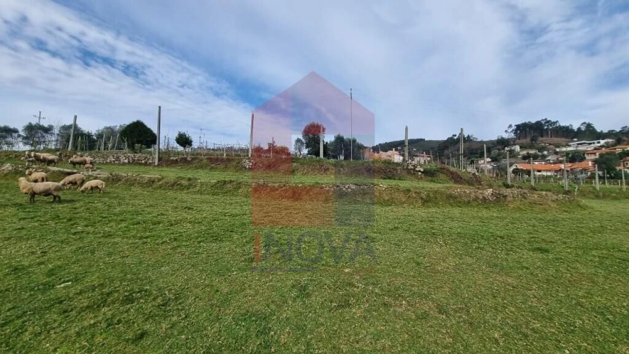 Terreno para Venda em Ribeira do Neiva Foto 11