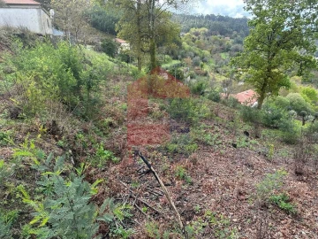 Moradia T0 para Venda em Ribeira do Neiva