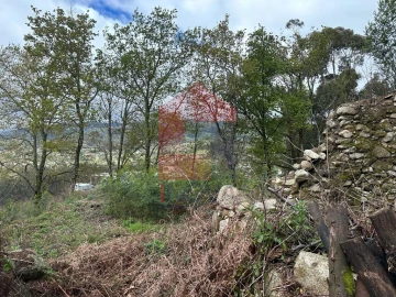 Moradia T0 para Venda em Ribeira do Neiva