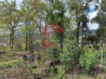 Moradia T0 para Venda em Ribeira do Neiva