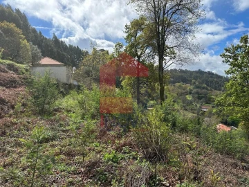 Moradia T0 para Venda em Ribeira do Neiva