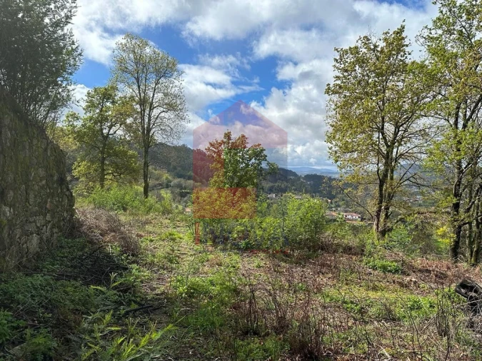 Moradia T0 para Venda em Ribeira do Neiva Foto 13