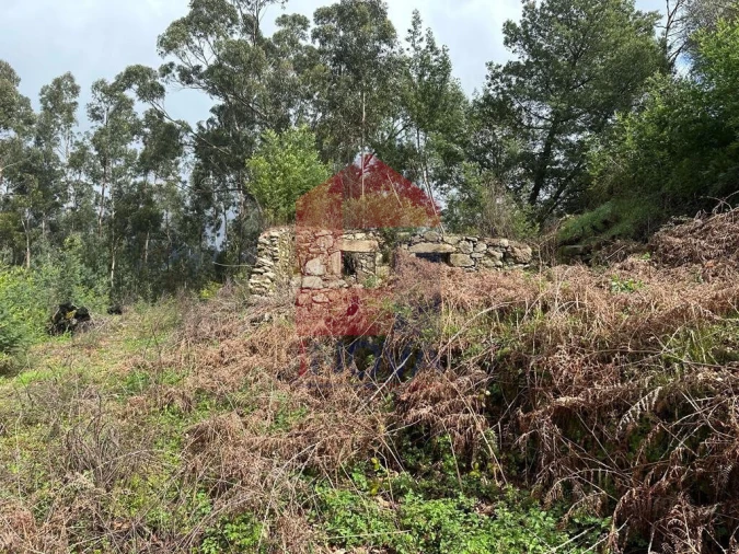 Moradia T0 para Venda em Ribeira do Neiva Foto 20