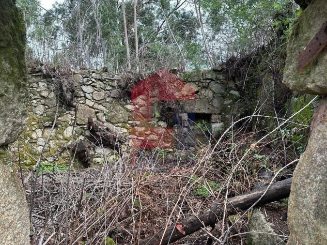 Moradia T0 para Venda em Ribeira do Neiva Foto 8