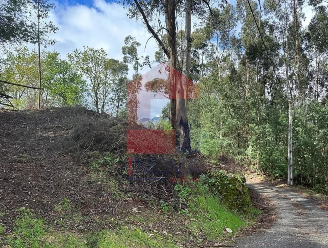 Moradia T0 para Venda em Ribeira do Neiva Foto 24