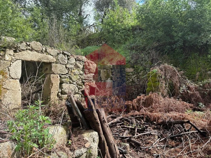 Moradia T0 para Venda em Ribeira do Neiva Foto 3