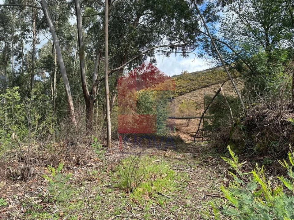 Moradia T0 para Venda em Ribeira do Neiva Foto 23