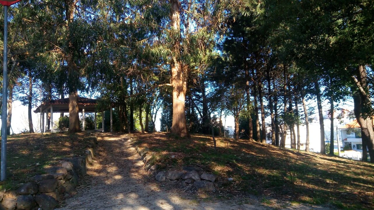 Terreno para Venda em Pedroso e Seixezelo Foto 4