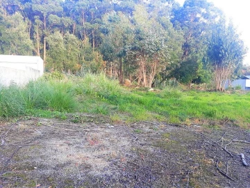 Terreno para Venda em Pedroso e Seixezelo