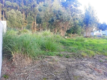 Terreno para Venda em Pedroso e Seixezelo