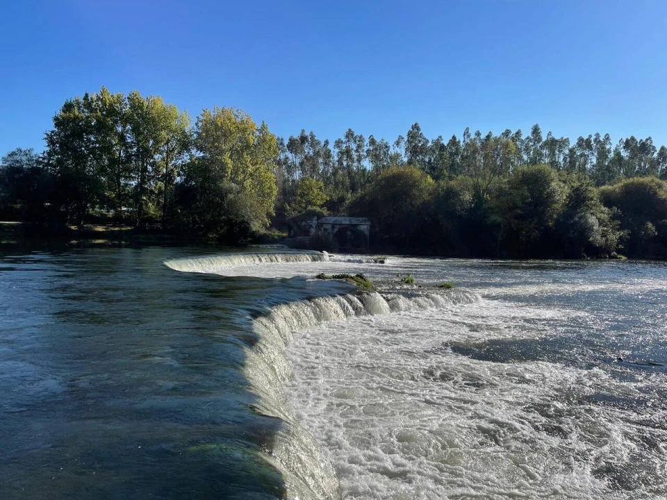 Quinta T8 para Venda em Manhente Foto 28